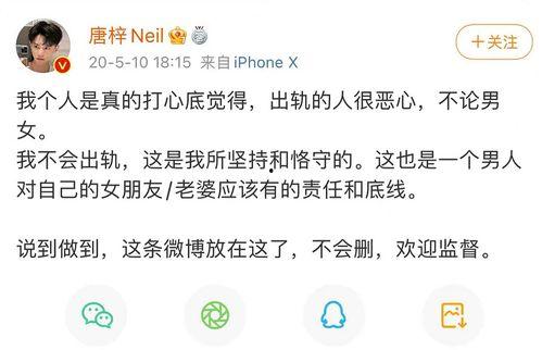 爆料还是曝料 网红黑料黑料正能量 明星黑料ppt,网红黑料、明星黑料与正能量现象解析